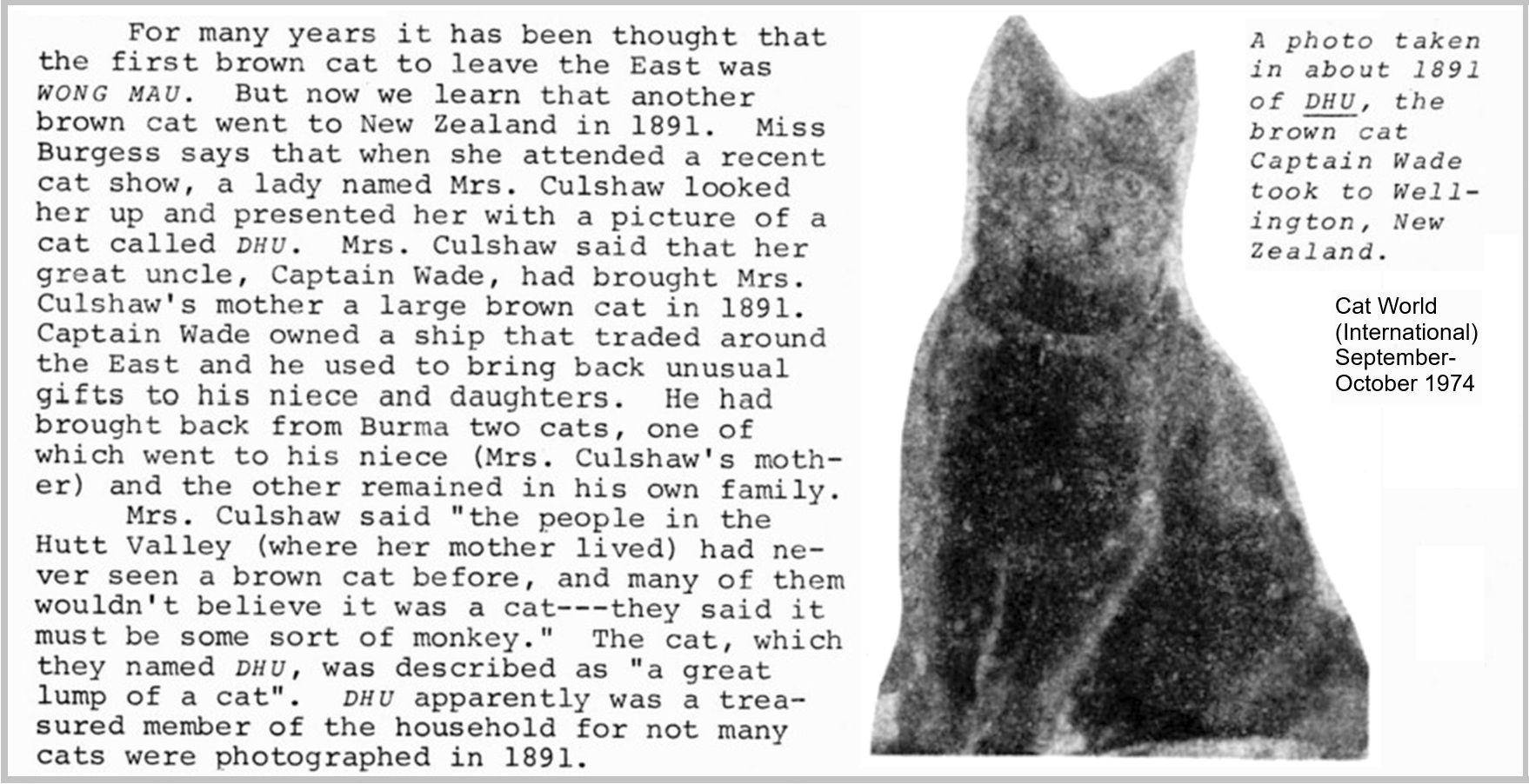 1891 Burmese cat