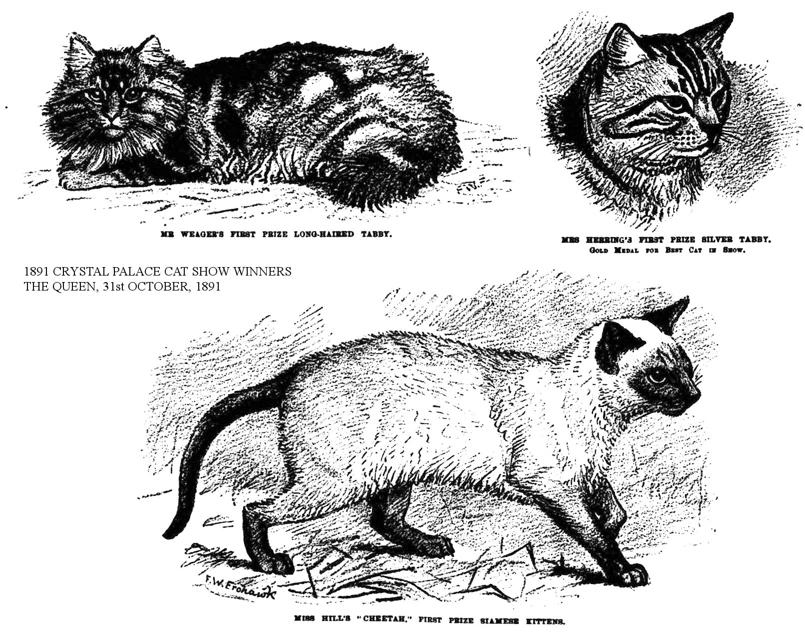 1891 crystal palace cat show