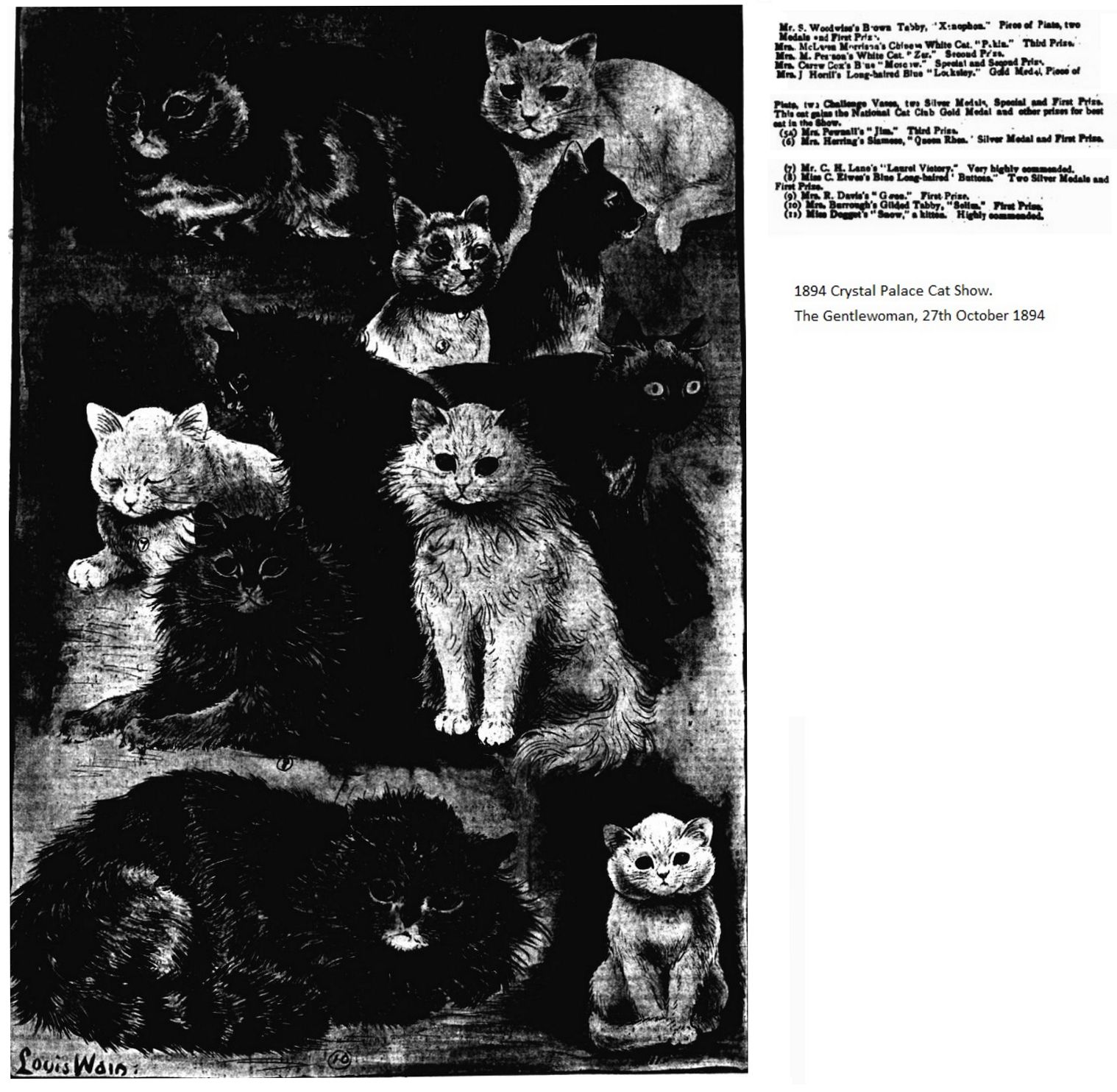 1894 crystal palace cat show