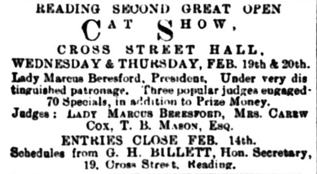 cat show