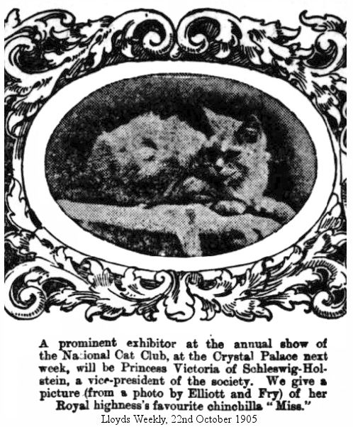 crystal palace cat show