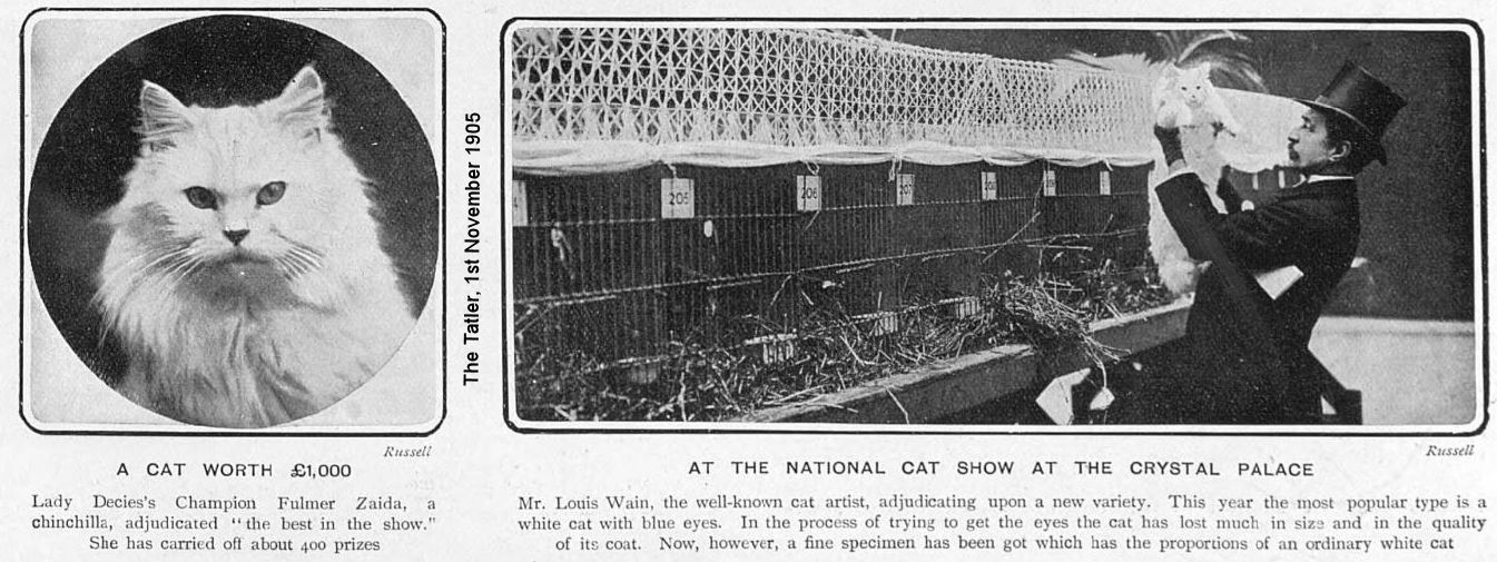 crystal palace cat show