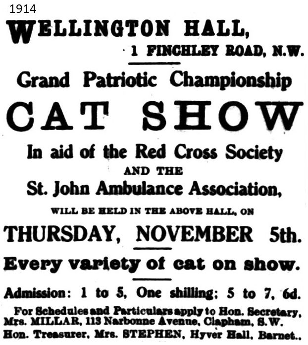 cat show