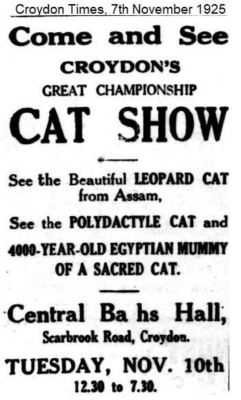 cat show