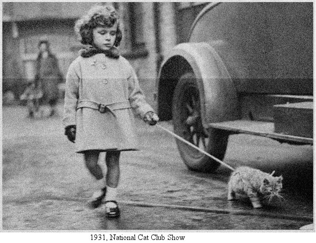 crystal palace cat show