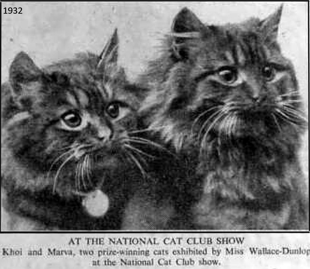 crystal palace cat show