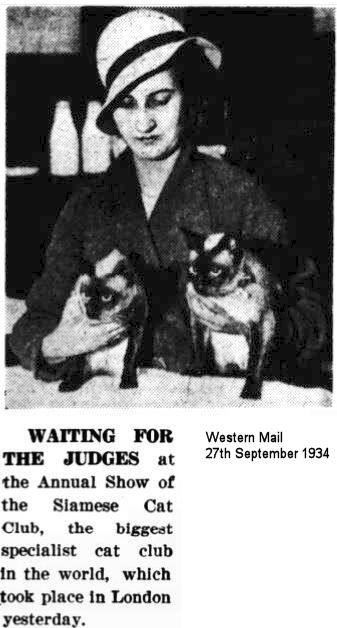 siamese cat show