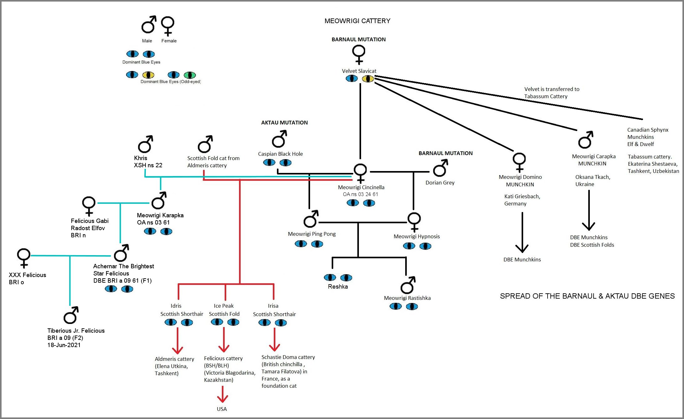 Spread of Barnaul & Aktau DBE genes