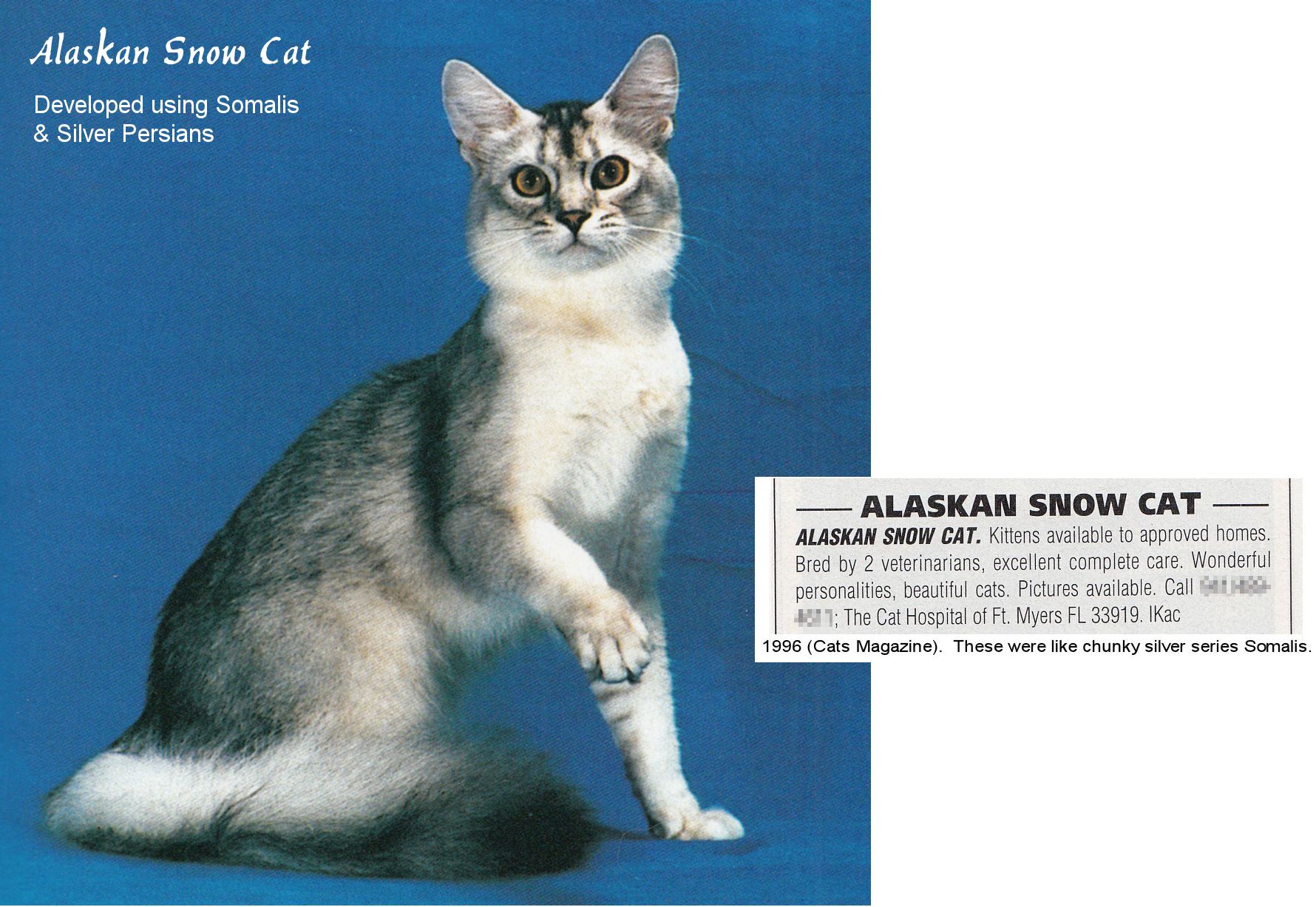 Alaskan Snow Cat from the 1990s