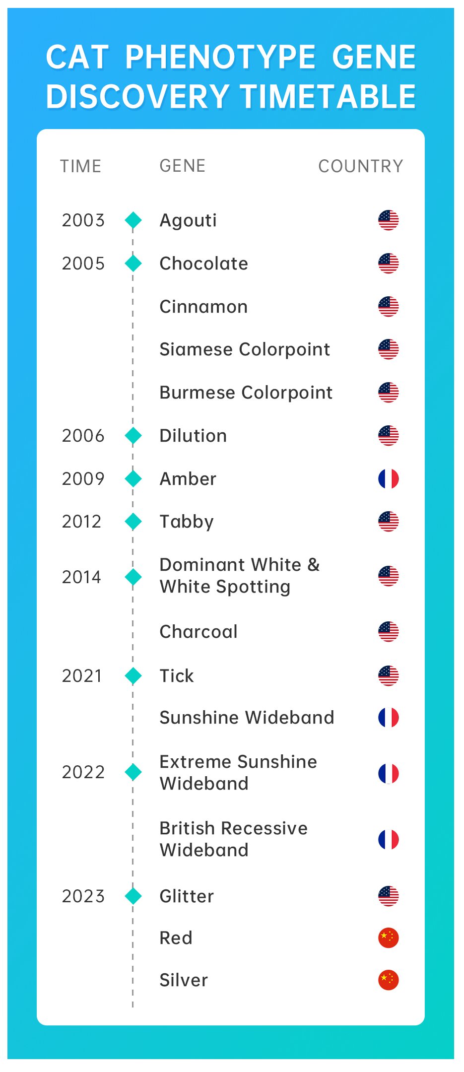 research timeline