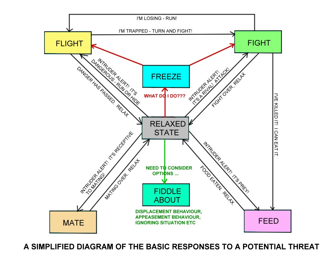 Basic Emotional Responses