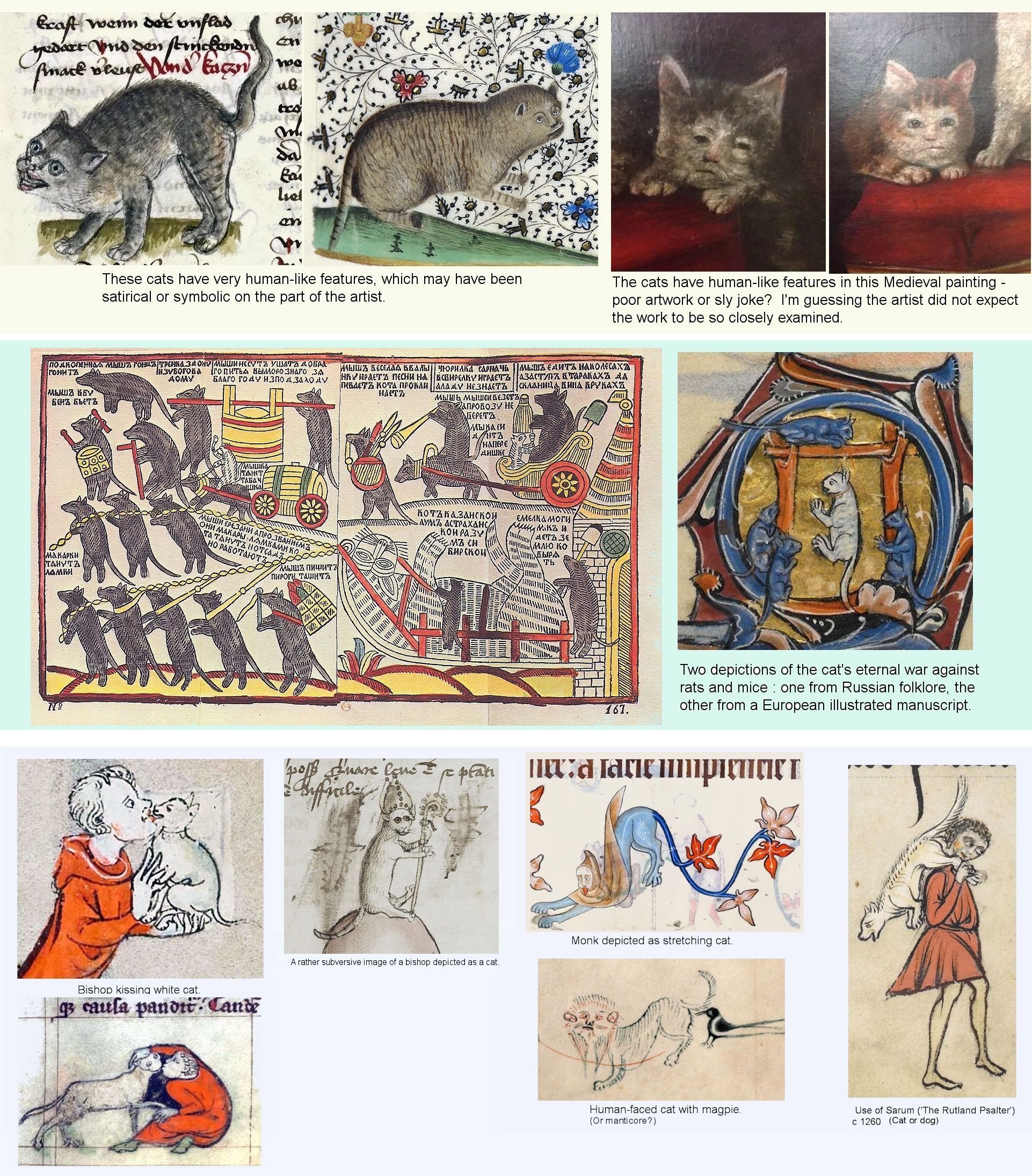 medieval cat illustrations