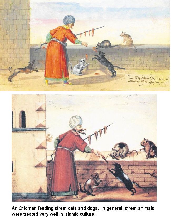 medieval cat illustrations