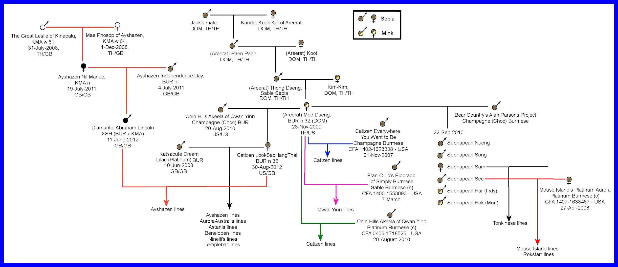 Mod Daeng descendants