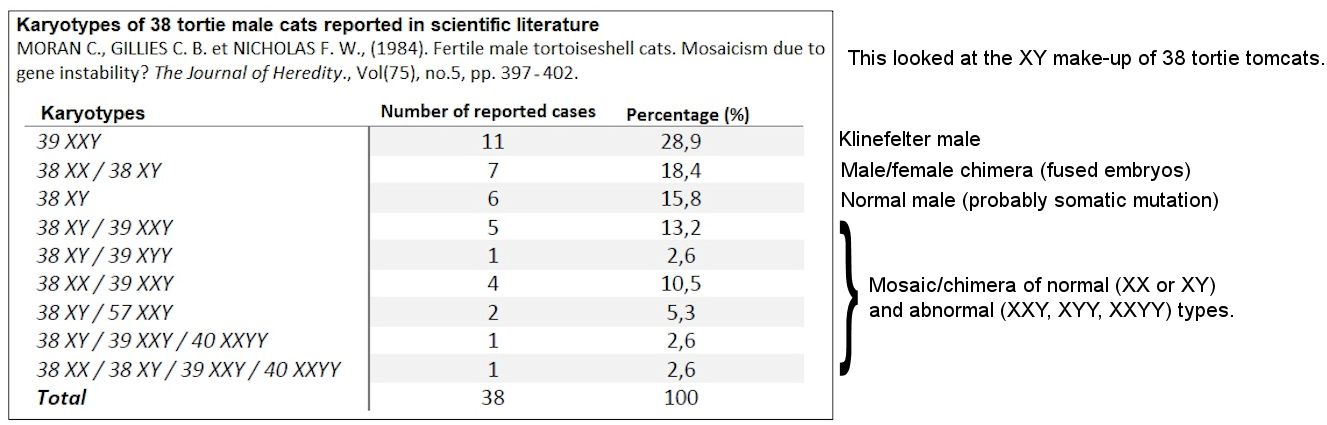 mosaic karyotypes